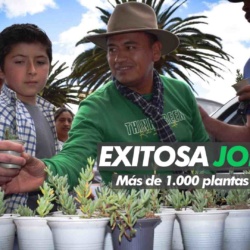 1.000 plantas por Sogamoso