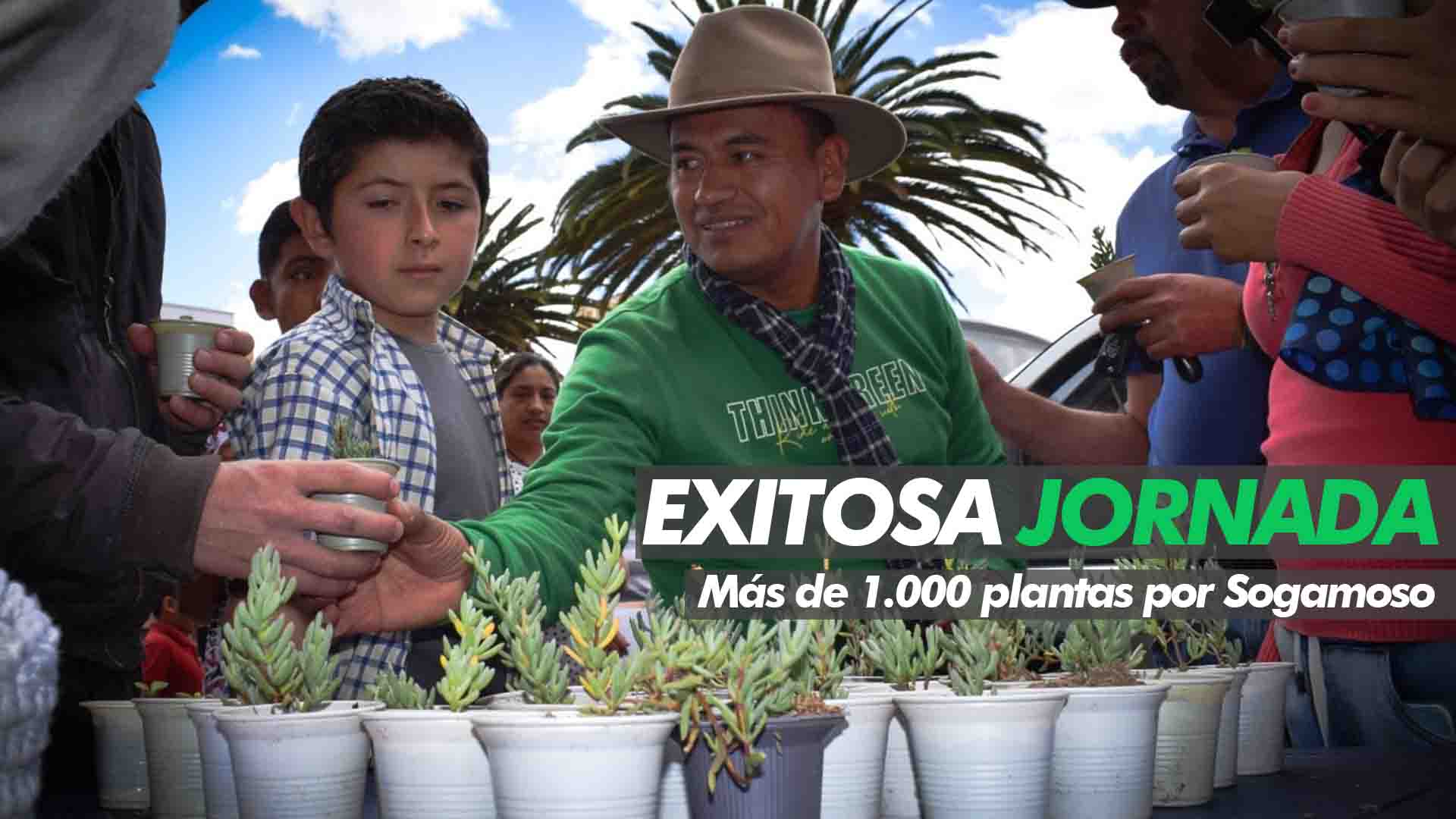 1.000 plantas por Sogamoso